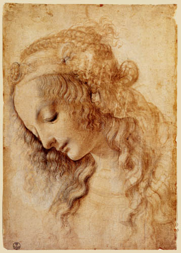 Leonardo da Vinci Portrait of a Woman