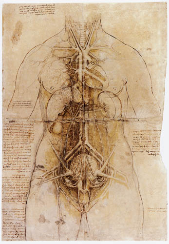 leonardo da vinci. Leonardo da Vinci - The organs